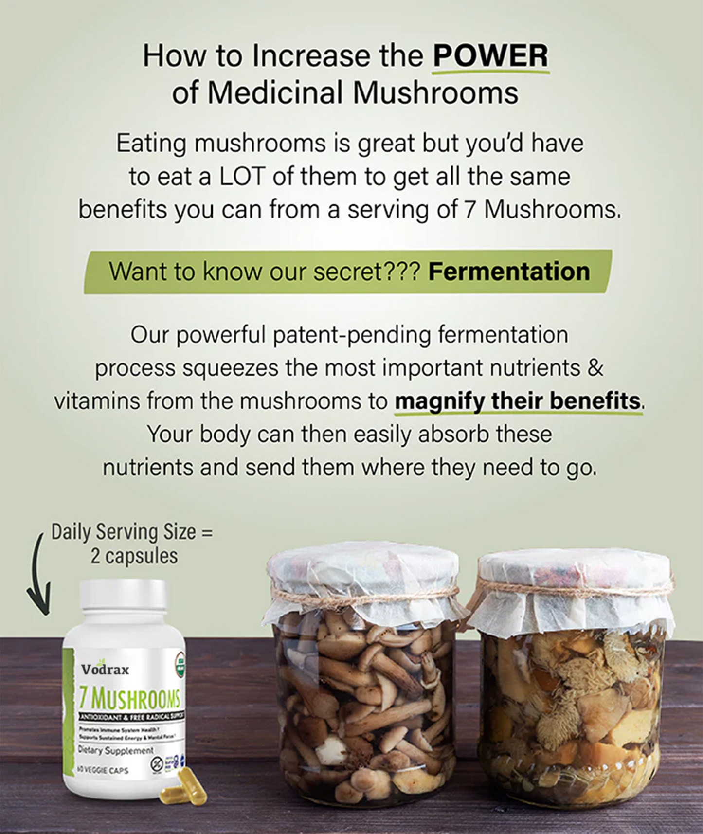 7 Mushrooms