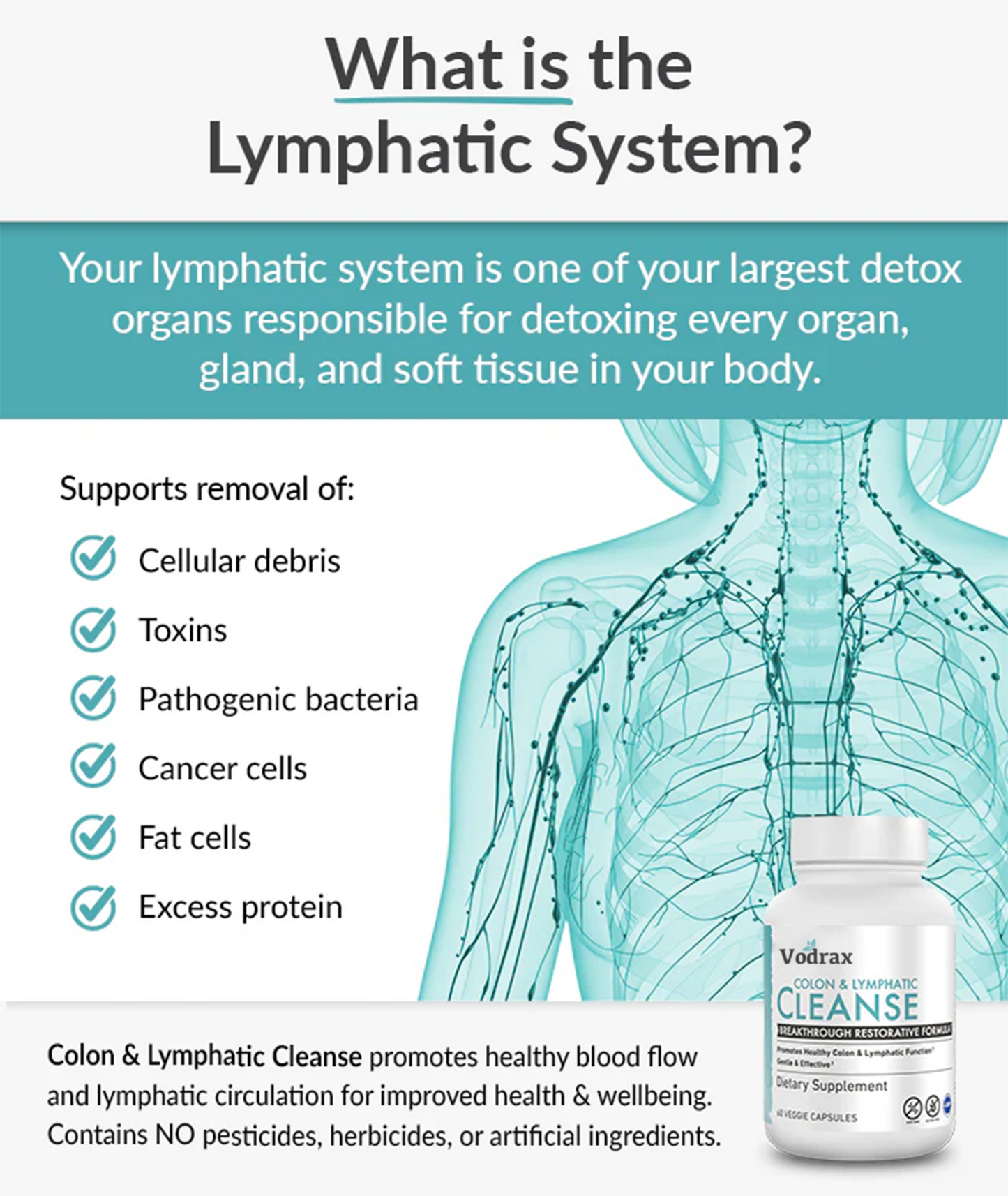 Cleanse – Colon & Lymphatic
