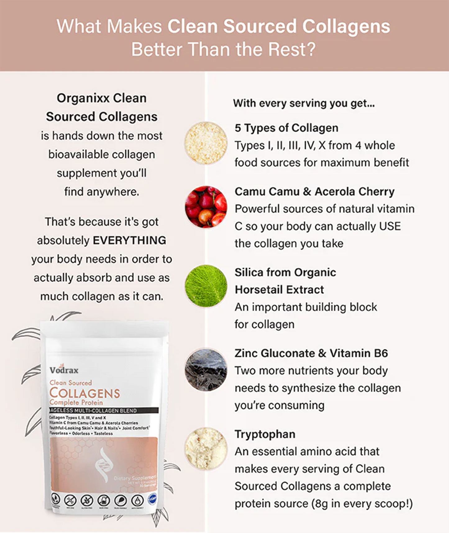 Clean Sourced Collagens (30 servings)